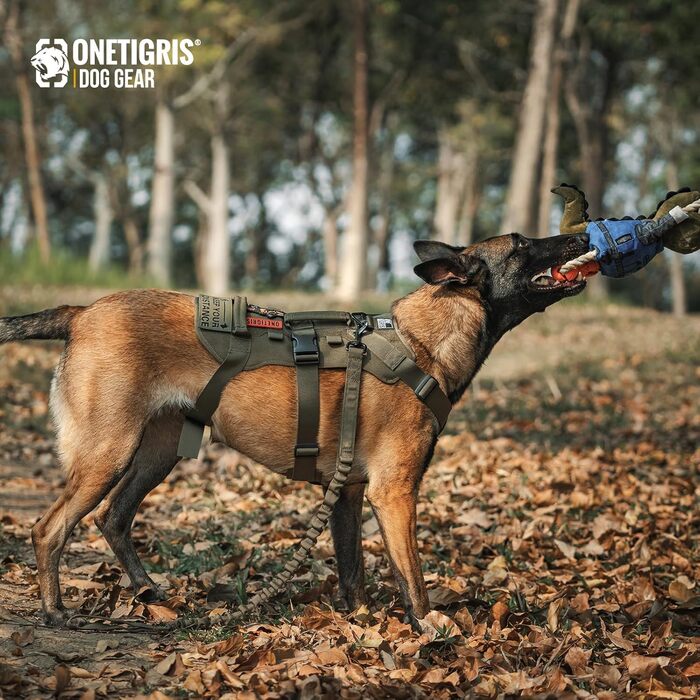 Нашийник для собак OneTigris T-Bone тактичний, зелений, регульований, для полювання, прогулянок, тренувань та активного відпочинку (M, XL:39-64кг)