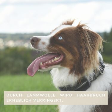 Нашийник для собак CHRIS з ланолінової вовни, зменшує випадіння шерсті, з підкладкою, світловідбиваючий, регульований, для собак малих, середніх та великих порід, розмір L (45-55 см), XL (55-65 см), колір антрацит