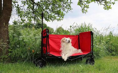 FROSAL Візок для собак Bruno, зелений, складний | Транспортний візок для тварин з легким доступом