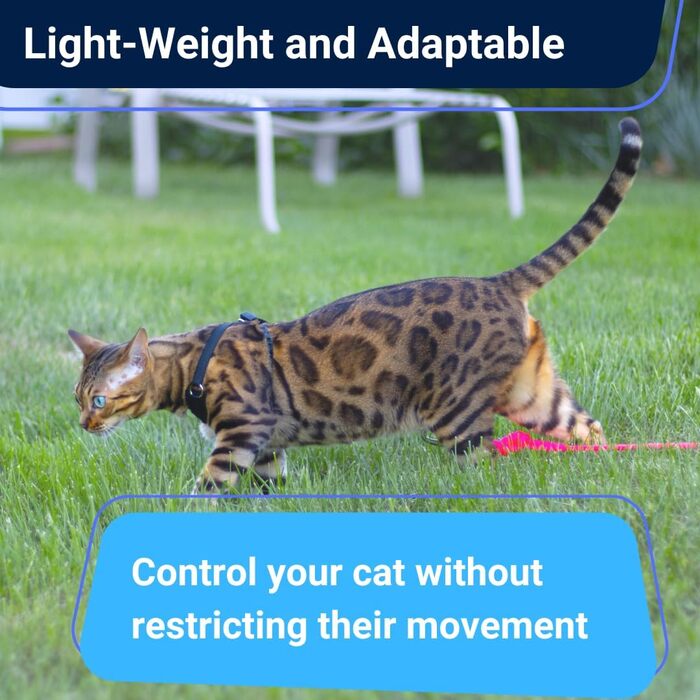 Нашийник та поводок для котів Houdini™ з веганської шкіри, анти-вислизання, OutdoorBengal, розмір M (середній)