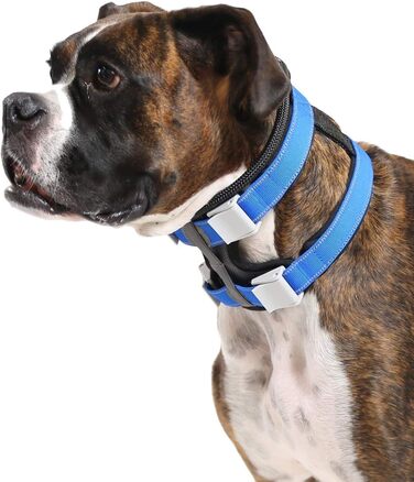 Cesar Millan Pack Leader Collar™ - The Dog Whisperer's Training Collar (Medium, Blue)