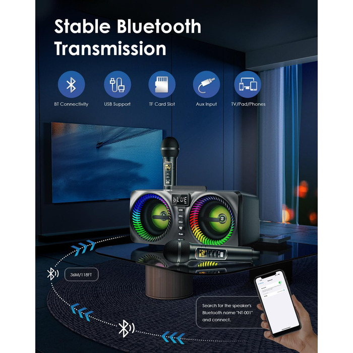 Караоке система All-in-One з Bluetooth, 2 мікрофонами та акустикою 30W, PA система для вечірок (Чорний)