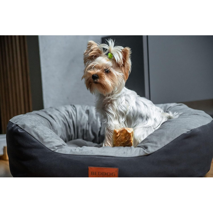 Льожа для собак середніх порід - BedDog: кілтрум, корзина, диван, ліжко для собак (65x55x21 см, коричневий)