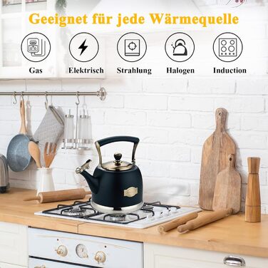 Чайник для кемпінгу з нержавіючої сталі 3L, з носиком, для плити та індукції, чорний
