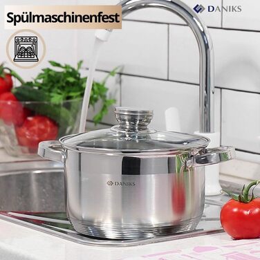 Danik Standard Stainless Steel Cooking Pot with Glass Lid, 20 cm, 4 Liters, Soup Pot/Noodle Pot/Pasta Pot, Silver