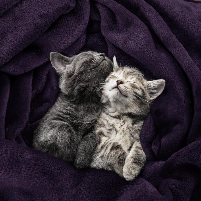 Плед Utopia Bedding: теплий та м'який флісовий плед 200x150 см (Lila)