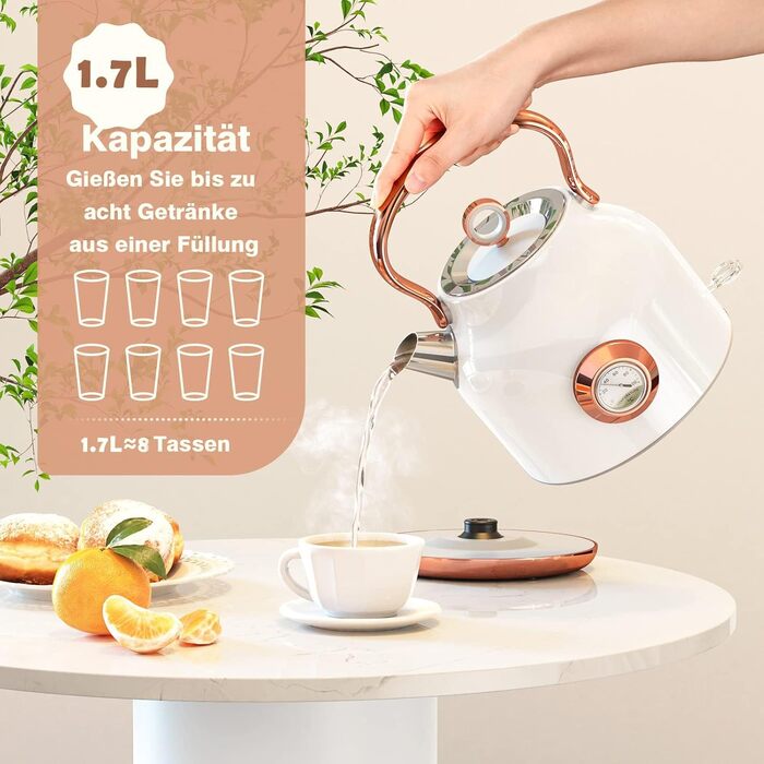 Чайник електричний NESSGRAIM Retro, 1.7л, нержавіюча сталь, з LED-індикатором, чорний