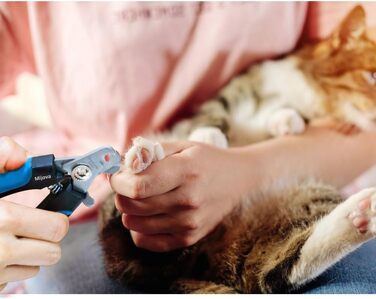 Професійний нігтеріз для собак та котів з захистом від надмірної обрізки, блакитний