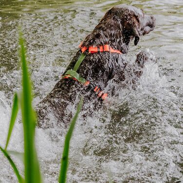 Шлейка для собак Lana Hundegeschirr ручної роботи, 5-рівневе регулювання, водонепроникна, Made in Germany, для собак маленьких та великих порід, повідкова шлейка, нагрудна шлейка, повідкова шлейка (M, помаранчевий/зелений) M помаранчевий/зелений