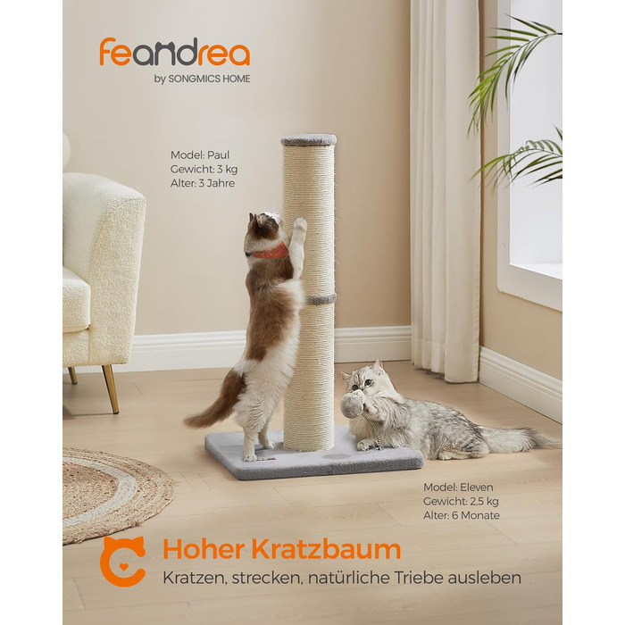 Feandrea Cat Tree, 85 cm tall, scratching post, 13 cm thick trunk, cat tree, scratching trunk for medium and large cats, sisal trunk, with plush ball and bell, Dove Gray PCA041G01
