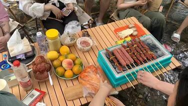 Disposable Grill, Portable Charcoal Grill, Grill Set for Indoors and Outdoors, Lightweight, Ready to Use, for BBQ, Picnic, Camping, Deck