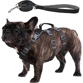 колір: чорний