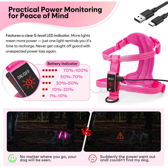 LED-нашийник для собак, світлодіодна шлейка для маленьких собак, USB-C, перезарядна, світлодіодна, для цуценят, XS, S, світловідбиваюча, для нічних прогулянок (зелений, рожевий)