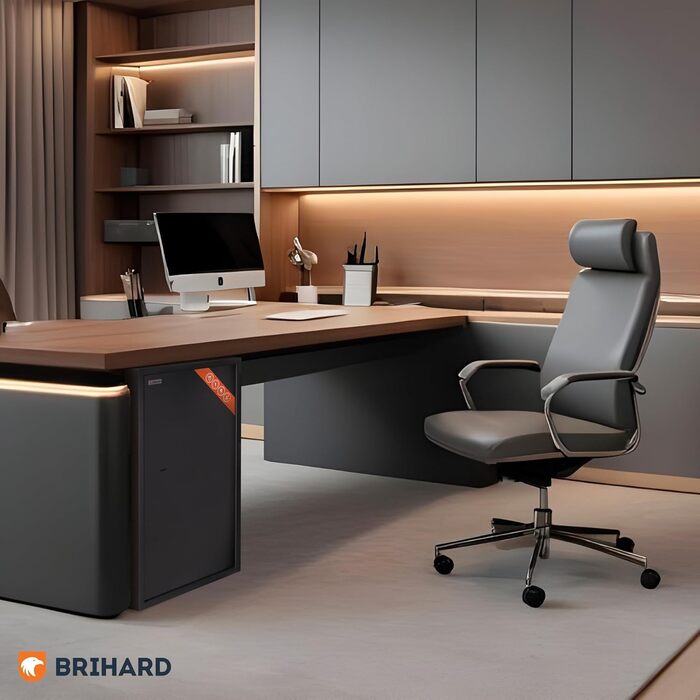 Сейф для бізнесу Brihard Tresor XL з ключовим замком, 50x35x36 см, сірий Titan