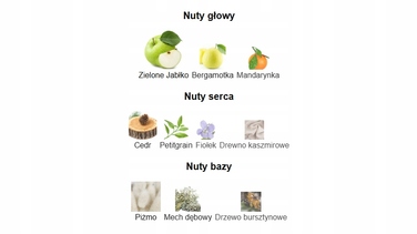 Парфумована вода Fragrance World, деревовно-ароматична, 100 мл