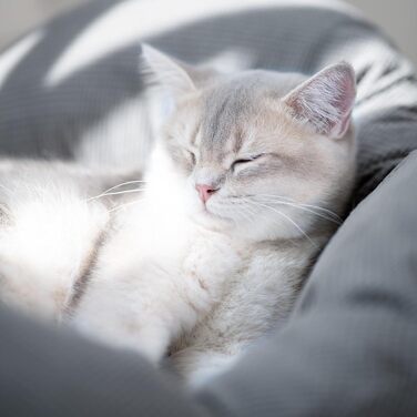 Килимок-лежанка для котів CheerPals, 55x55 см, м'який, стильний, білий (темно-сірий)