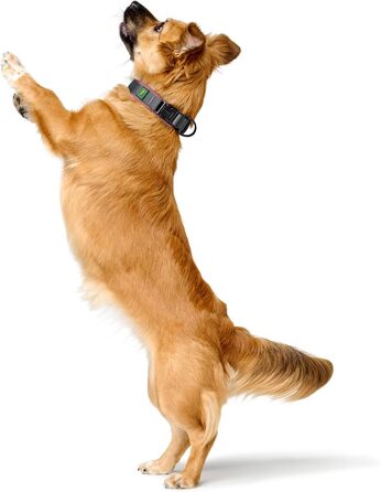 Нашийник для собак HUNTER Maldon, рожевий, дихаюча сітка, міцний нейлон, безшумний, гіпоалергенний, з регулюванням натягу, з адресником, легкий, розмір M