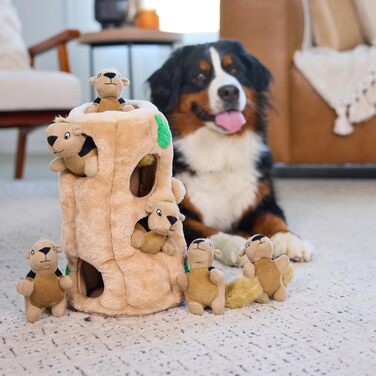 Outward Hound Plush Dog Toy Hide A Squirrel, XL
