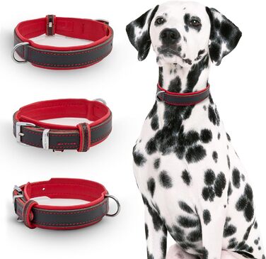 Нашийник для собак Michur Minimo Rot з натуральної шкіри, червоно-чорний, різні розміри, обхват шиї 28-36 см