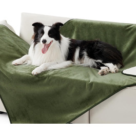 колір: оливгра