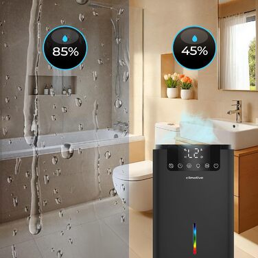 Електричний осушувач повітря Climative ION 12L/24h з Wi-Fi та очищувачем повітря для дому, квартири, ванної кімнати. Захист від вологи та плісняви до 20 м². Чорний Luxe 070