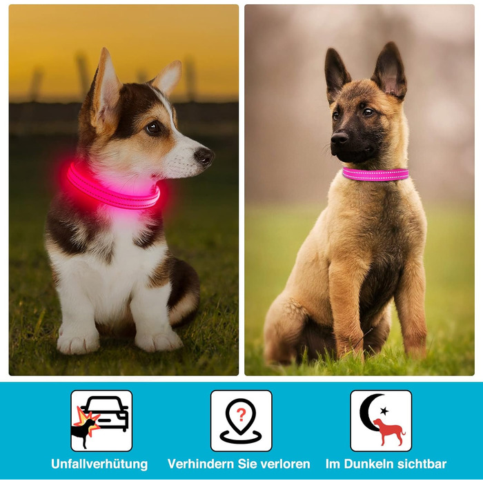 LED-ошийник для собак, перезарядна USB, водонепроникний, яскравий, регульований, для середніх та великих собак (зелений, рожевий)