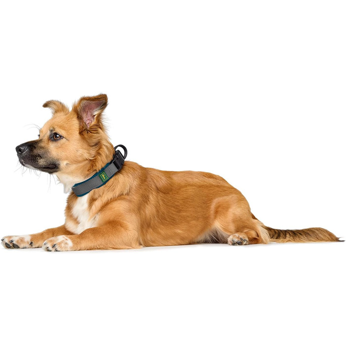 Нашийник для собак HUNTER Maldon, petrol, дихаюча сітка, міцний нейлон, безшумний, гіпоалергенний, з регулюванням натягу, з адресником, легкий, розмір S
