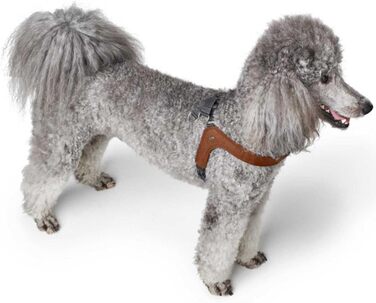 Нашийник для собак HUNTER DIMARO, м'яка та міцна шкіра, регульований, для цуценят та собак, розмір M, колір cognac