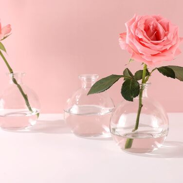 Magic Season Decorative Glass Bottle with Cork Stopper (260ml Potion Bottles / 6 Pieces)