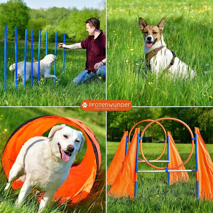 Набір для аджиліті для собак XXL-Profi: 6 стабілометрів, тунель 3 м, аксесуари для тренувань, для великих та малих собак