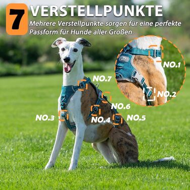 Шлейка Huntboo для собак: безпечна від виривання, антистресова, з відбиваючими елементами, регульована, легка (розмір S, блакитна)