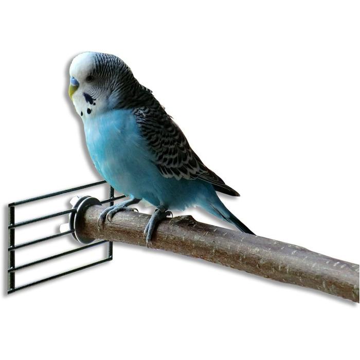 6-Piece Shredder and Nibbling Set for Birds | Basic Equipment for Bird Owners | Budgie Toy | Cockatiel Toy