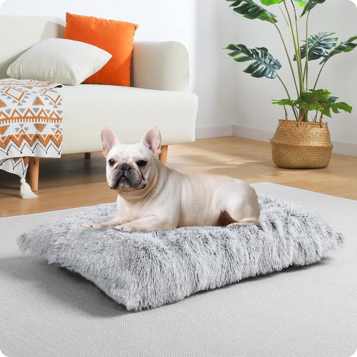 Dog Bed, Fluffy Dog Mats, Longer Plush Dog Cushion, Washable, Non-Slip Bottom, 110 cm for Medium and Large Dogs, (L 80 x W 50 x H 10 cm, Light Grey)