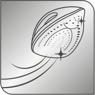 Праска TEFAL Express FV2837, керамічна підошва, 2400 Вт, система захисту від накипу