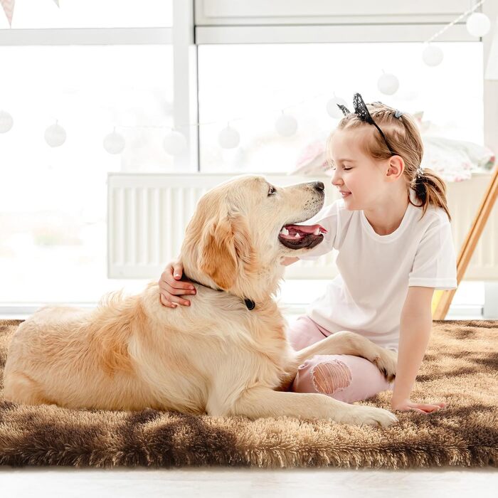 Килим Sour Lemon Hochflor сірого кольору для вітальні, спальні, дитячої кімнати. 160x230 см, мобільний, антиковзаюча поверхня, великий, плюшевий, сучасний, прямокутний.