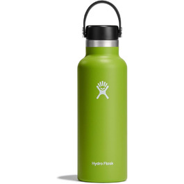 HYDRO FLASK - 532ml (18oz) Water Bottle - Vacuum Insulated Stainless Steel Water Bottle - Sports Bottle with Leak-Proof Flex Cap & Strap - Thermos Bottle Dishwasher Safe - Wide Mouth - (Modern and sporty, Seagrass, 532ml (18oz))
