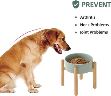 Керамічна миска для собак 21 см на підставці, великі породи, годівниця та поїлка (1 шт., світло-зелена)