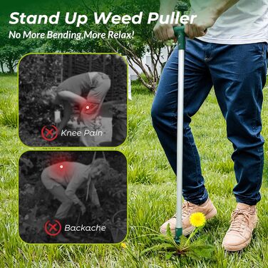 Walensee Weed Puller, Weed Remover, Length 100cm, with THREE jaws for efficient weed removal, claws and pedals made of thickened and hardened stainless steel, gardening tool