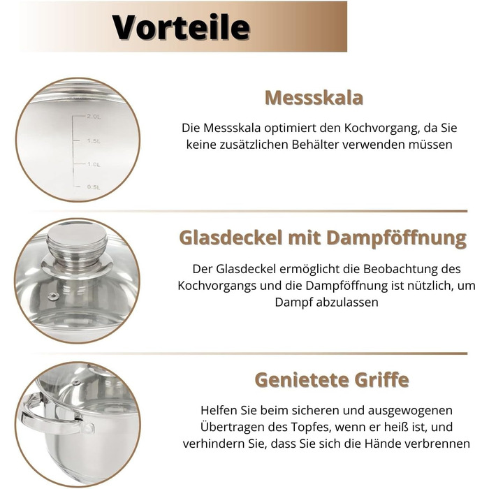 Danik Standard Stainless Steel Cooking Pot with Glass Lid, 20 cm, 4 Liters, Soup Pot/Noodle Pot/Pasta Pot, Silver