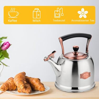 Нержавійна чайник для кемпінгу 3L з носиком, для плити та індукції, срібний