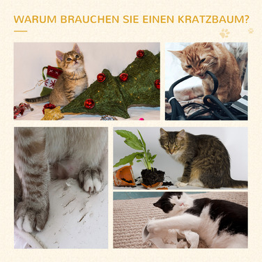 PawHut стабільний котячий комплекс, вантажопідйомність 15 кг, котяча драбина з 3 ступенів, бежевий, сірий, 48,5 x 48,5 x 100 см | Aosom