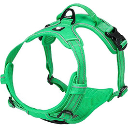 колір: грасгрюн (grassgrün)