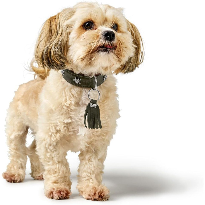 Нашийник для собак HUNTER München, зелено-коричневий, шкіряний, з вишуканими деталями, м'який та міцний, не травмує шерсть, екологічний, Made in Germany, розмір 50