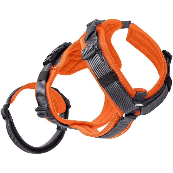 Нашийник для собак Maldon, розмір S-M, оранжево-сірий