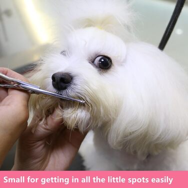 Ножиці для грумінгу собак Хашімото, 13 см, пряма клинка з мікрозубом, для обрізання навколо очей, вух, носа та лап