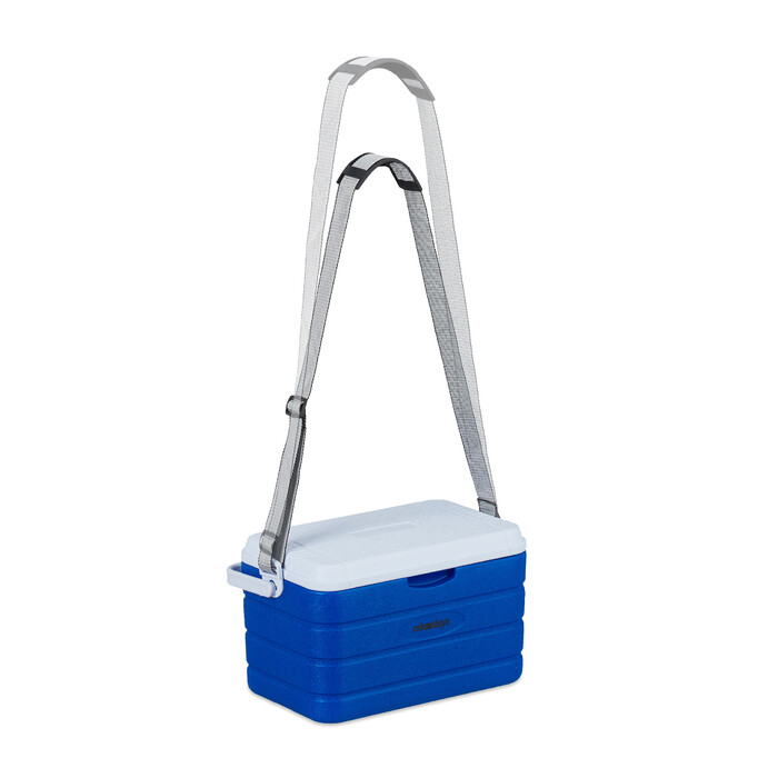 Relaxdays 10 l Cooler Box with Carrying Handle