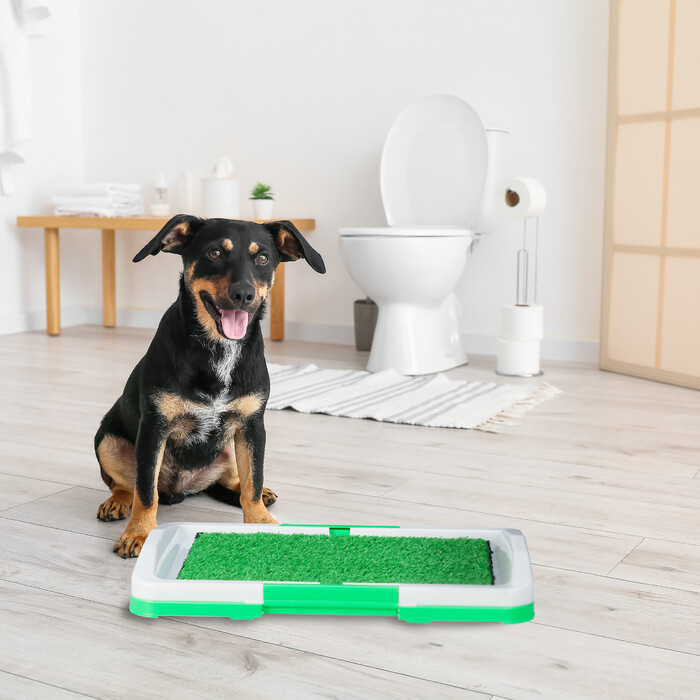 Relaxdays dog toilet with grass