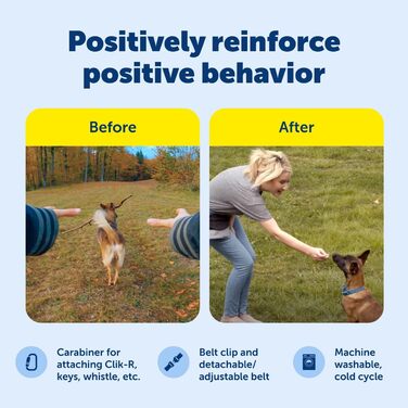 PetSafe 74144 Сумка для ласощів чорного кольору - спортивна, для дресирування