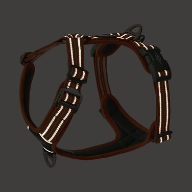 Нашийник для собак DOG Copenhagen Comfort Walk Air 3.0, Wild Rose, S