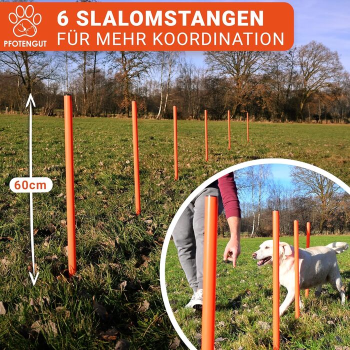 Набір для аджиліті для собак [11-TLG.] - універсальний набір з перешкодами, тунелем, слаломом та іншим для тренування та аджиліті собак - з аксесуарами та сумкою для транспортування, великий розмір